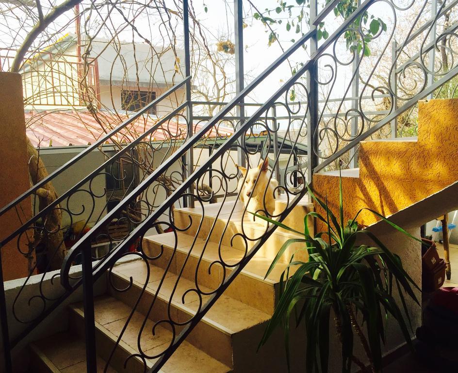 Apartmani Peric Bar Esterno foto